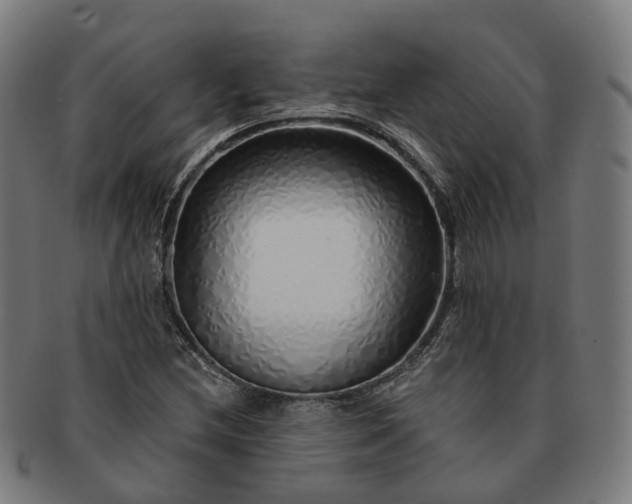 X0000091311212200708241106