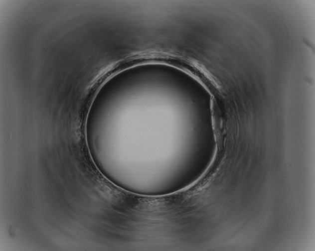 X0000091311213200708241106