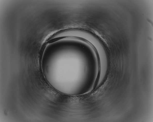 X0000091311214200708241106