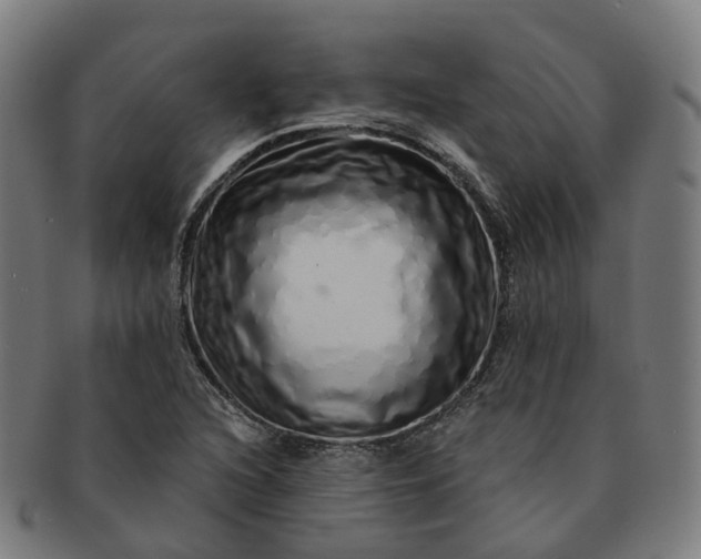 X0000091311216200708241106