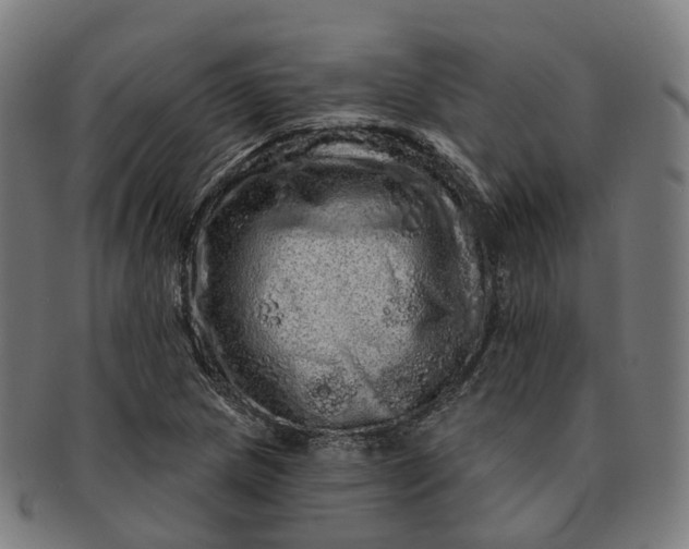 X0000091311217200708241106