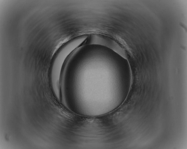 X0000091311218200708241106