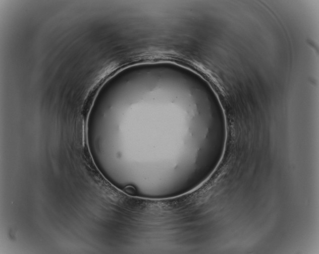 X0000091311219200708241106