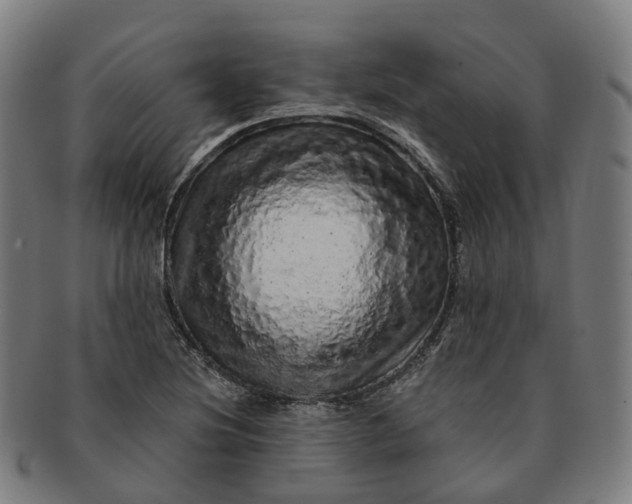 X0000091311220200708241106