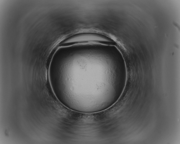 X0000091311221200708241106