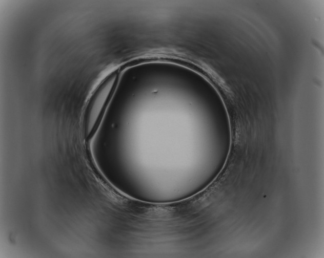 X0000091311224200708241106