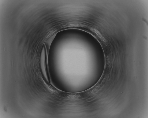 X0000091311225200708241106