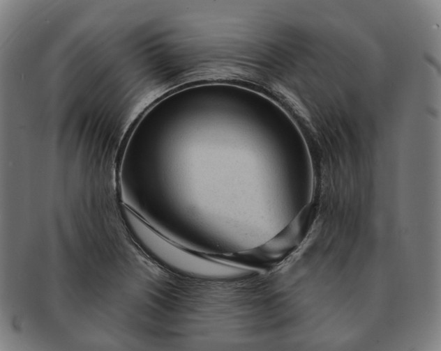 X0000091311226200708241106