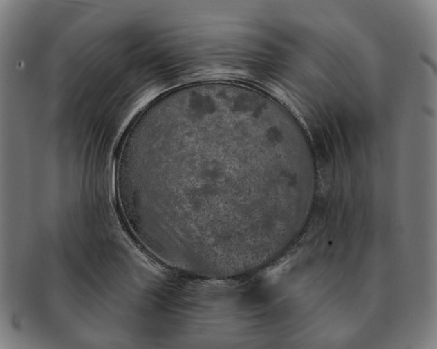 X0000091311227200708241106