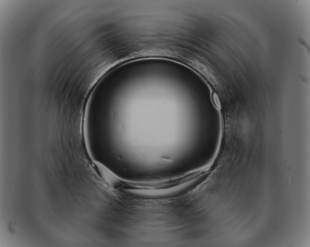 X0000091311228200708241106