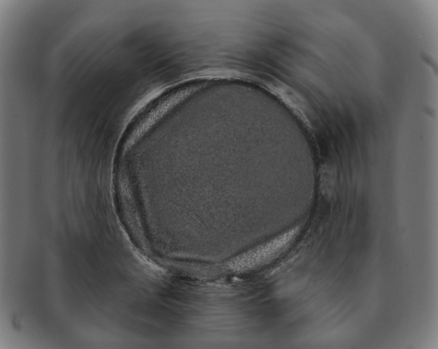 X0000091311229200708241106