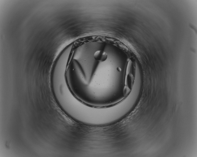 X0000091311230200708241106