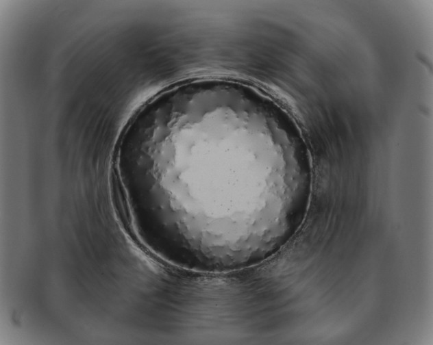 X0000091311231200708241106