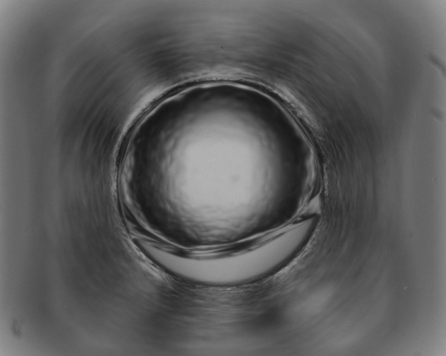 X0000091311232200708241106