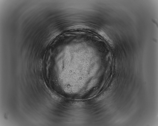 X0000091311233200708241106