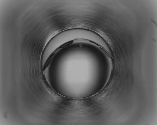 X0000091311234200708241106