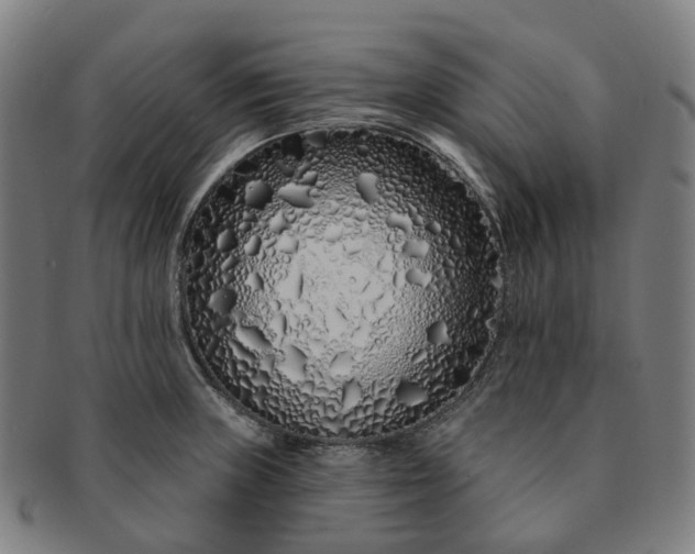 X0000091311235200708241106