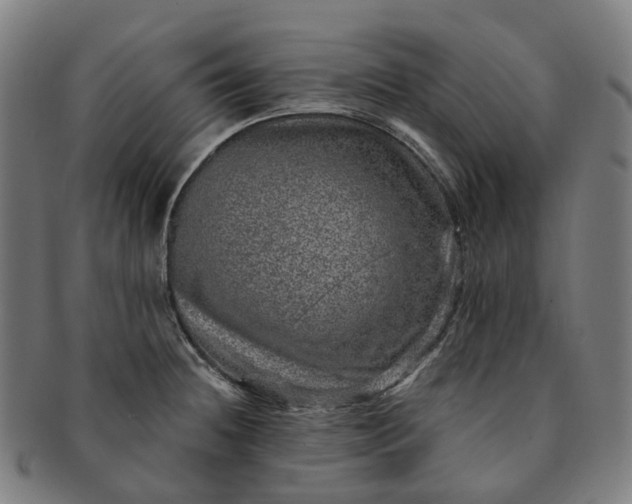 X0000091311236200708241106