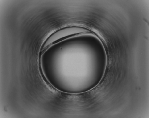 X0000091311237200708241106