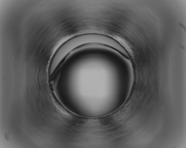 X0000091311238200708241106