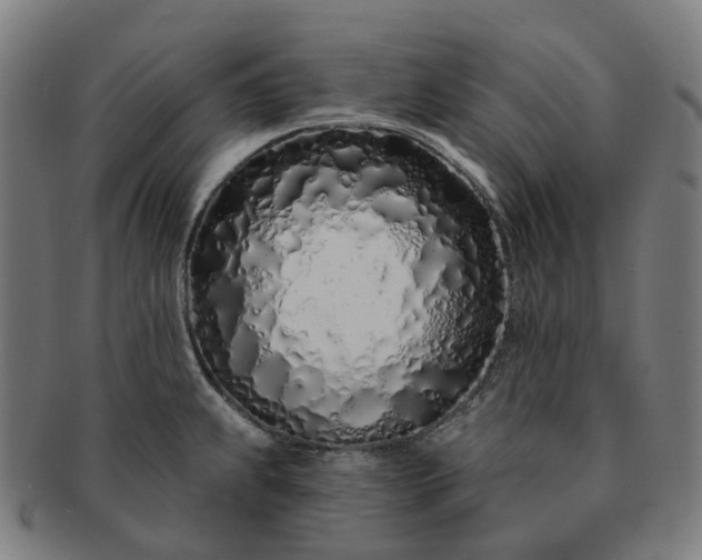 X0000091311239200708241106