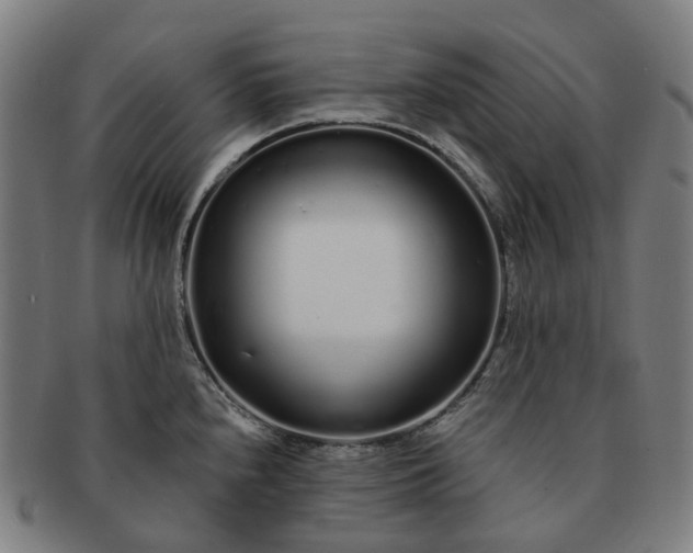 X0000091311240200708241106