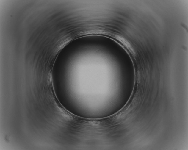 X0000091311241200708241106