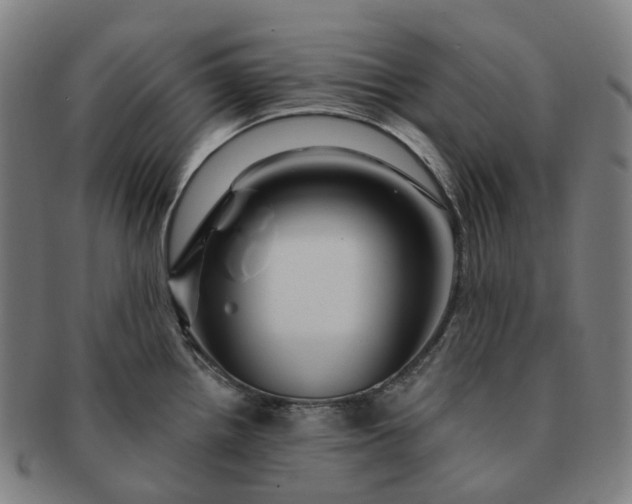 X0000091311242200708241106