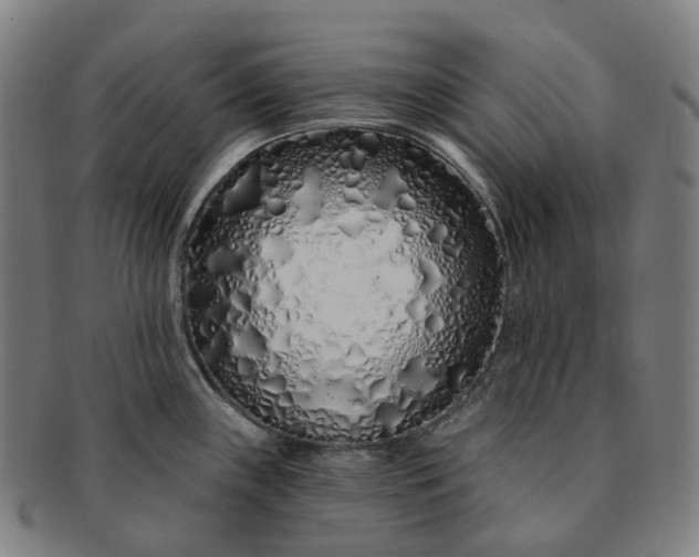 X0000091311243200708241106