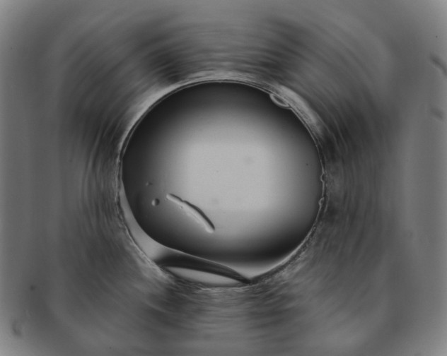 X0000091311244200708241106