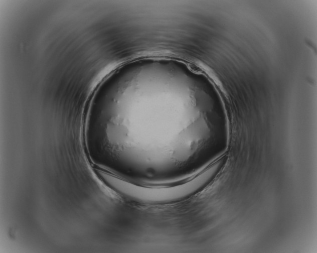 X0000091311245200708241106