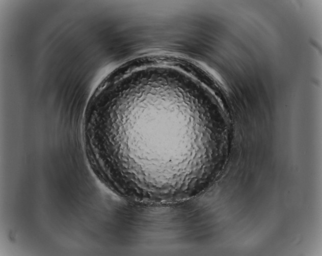 X0000091311247200708241106