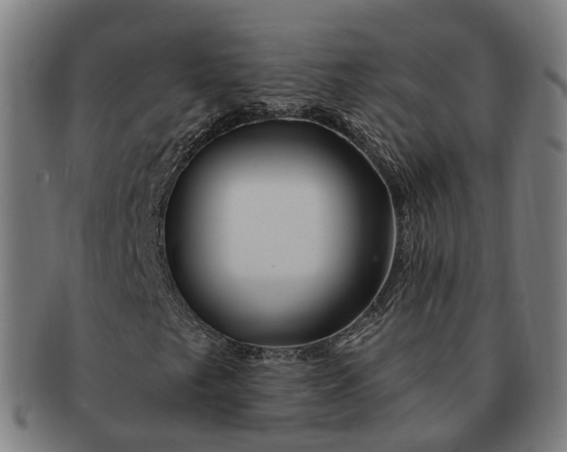 X0000091311249200708241106