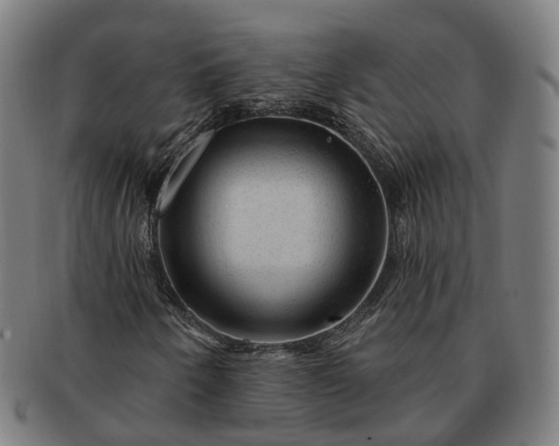 X0000091311250200708241106