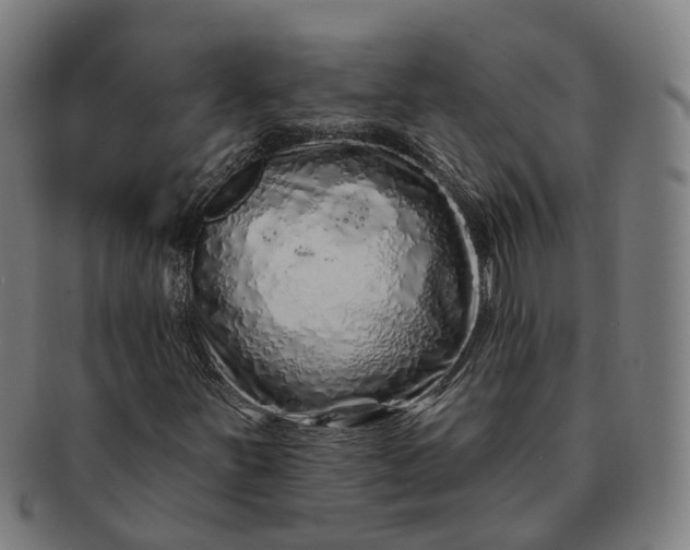 X0000091311251200708241106