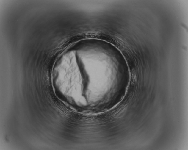 X0000091311252200708241106