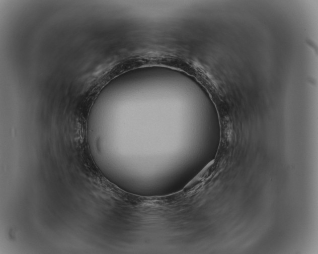 X0000091311253200708241106