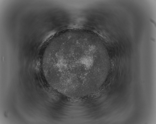 X0000091311254200708241106