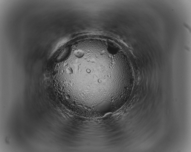 X0000091311255200708241106