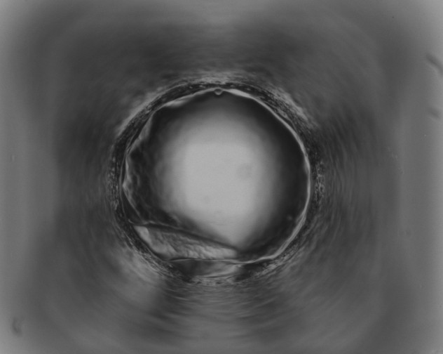 X0000091311256200708241106