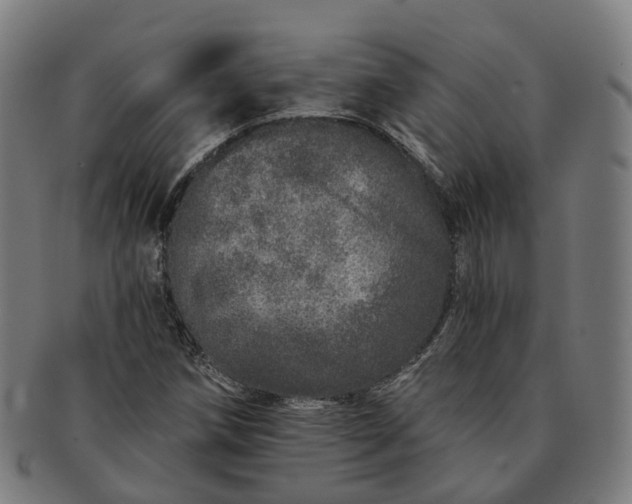 X0000091311258200708241106