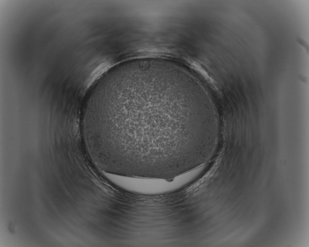 X0000091311259200708241106