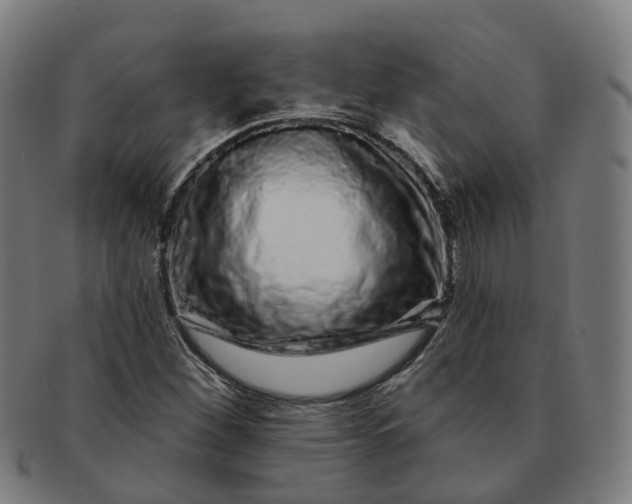 X0000091311260200708241106