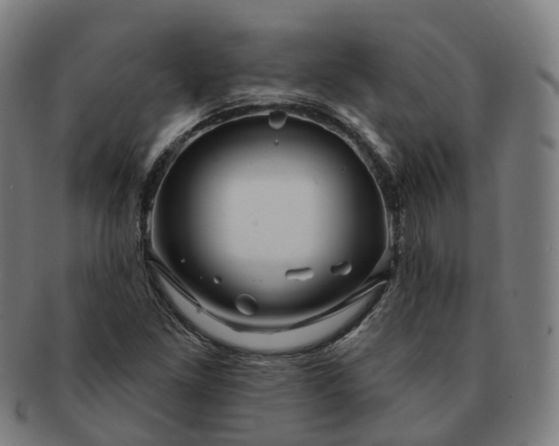 X0000091311261200708241105