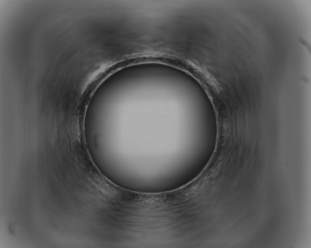 X0000091311262200708241105