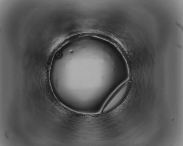 X0000091311263200708241105