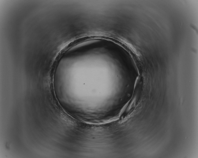 X0000091311264200708241105