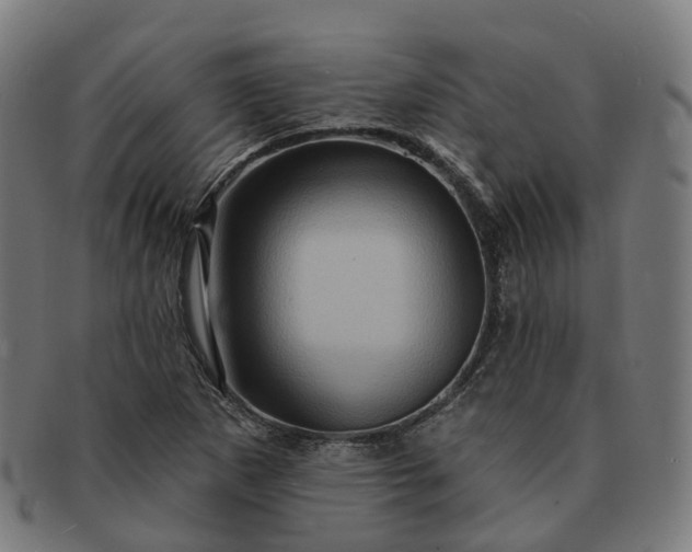 X0000091311265200708241105