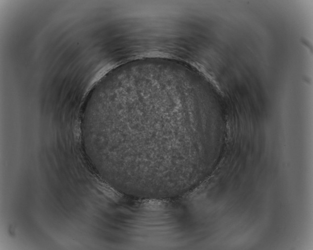 X0000091311266200708241105