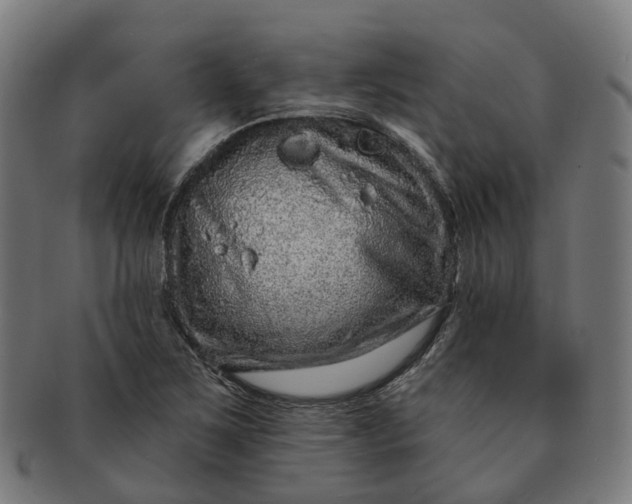 X0000091311267200708241105